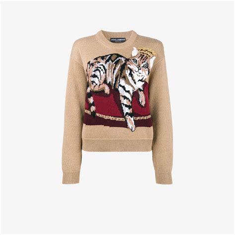 dolce and gabbana cat sweater